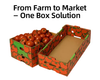 Export Grade Heavy Duty Wax Coated Corrugated Carton for Palletized Cold Chain Loads