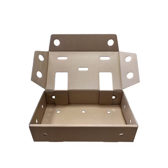 Waxed Coating Corrugated Cardboard Paper Pineapple Tomato Cucumber Corn Broccoli Fresh Fruit Carton Box Vegetable Packaging Box