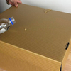 Waxed Carton