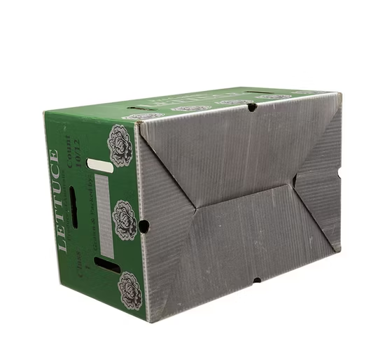 Fruit Vegetable Solar Panel Furniture Chemical Packaging Pallet Carton Box Waxed Coating Dipped Printed Corrugated Cardboard